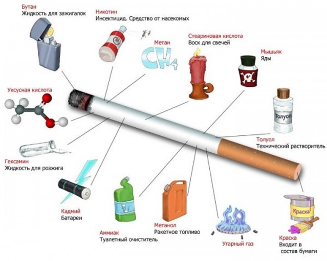 Воздействие Табакокурения На Организм Человека Реферат