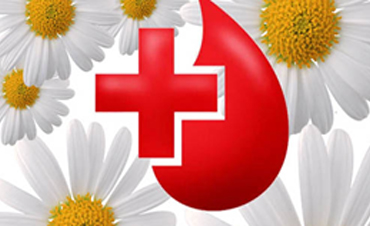 14 июня   Всемирный день донора крови